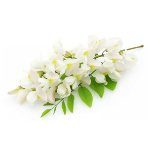یاس